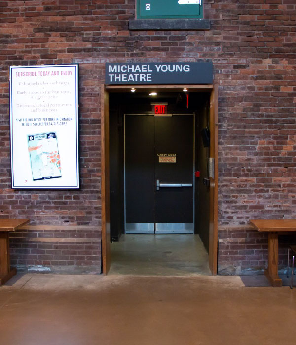 michael young theatre